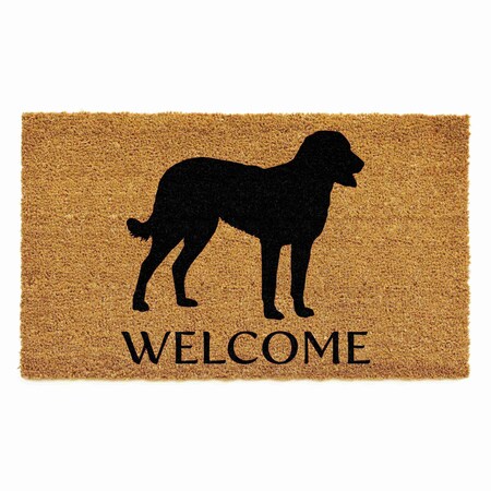 Calloway Mills Doormat, Coir/Vinyl, 24 in W x 36 in L 107072436